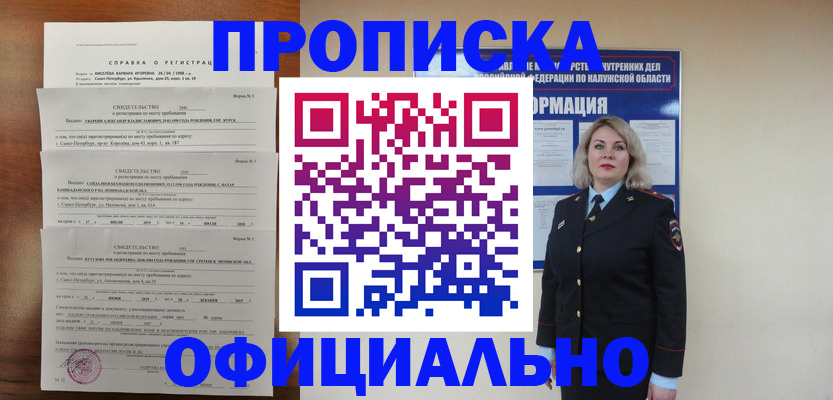 прописка 2025 в Ногинске